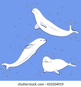 Northern dolphins