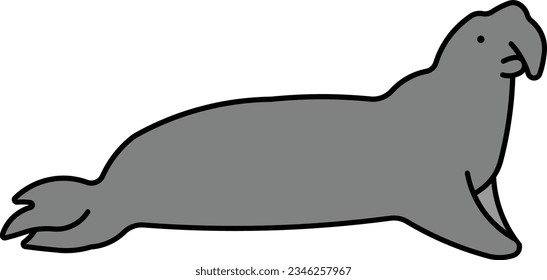 Northern Elephant Seal Elephant Seal adobenidae seal sea elephant Outline