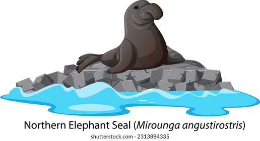 Northern elephant seal on isolated rock island illustration