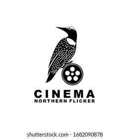 northern flicker cinema bird film reel vector logo design