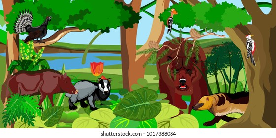 Northern forest and it's habitants, horizontal vector illustration, bear, badger, wolverine, capercallie, wildlife banner