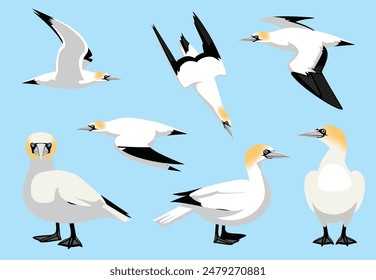 El pájaro del Gannet del norte volando de pie plantea la Ilustración vectorial