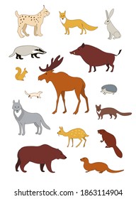 Northern hemisphere Forest animals. Color vector image collection.