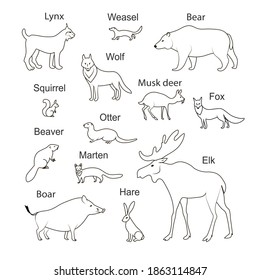 Northern hemisphere Forest animals with text names. Vector image silhouettes collection.