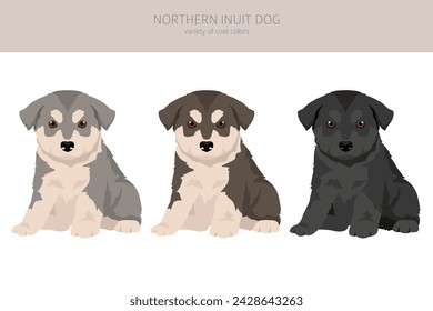 Northern Inuit dog clipart. All coat colors set.; All dog breeds characteristics infographic. Vector illustration