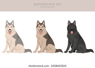 Clipart de perro inuit del norte. Conjunto de todos los colores del pelaje.; Todas las razas de perros características infografía. Ilustración de vector