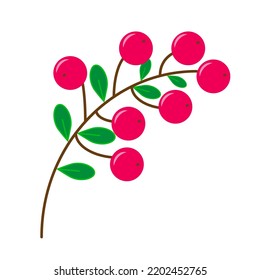 northern latitude berries winter cranberries