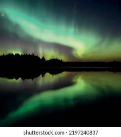 Northern lights, forest, lake and reflection