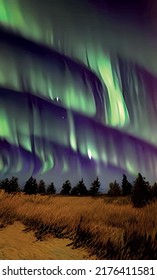 northern lights and forest view at night