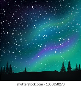 Northern lights in the starry sky and pine forest. Vector illustration.