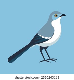 northern mockingbird vector art illustration