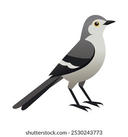 northern mockingbird vector art illustration