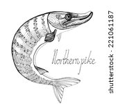 northern pike