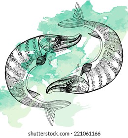 northern pike