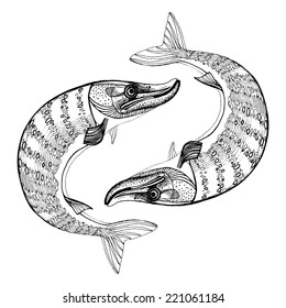 northern pike