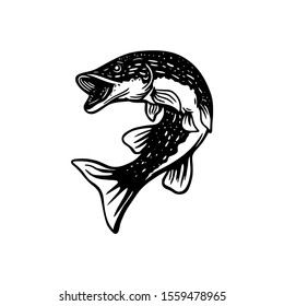 northern pike black and white illustration in black and white