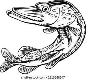 Northern Pike Cartoon Vector Illustration