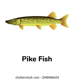 A northern pike fish flat icon