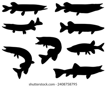 Northern pike fish silhouette vector art