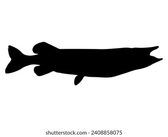 Northern pike fish silhouette vector art white background