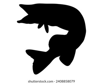 Northern pike fish silhouette vector art white background