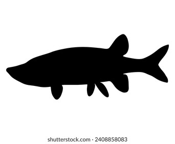 Northern pike fish silhouette vector art white background