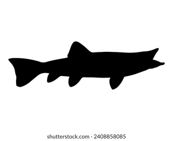 Northern pike fish silhouette vector art white background