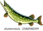 Northern Pike Fish Vector Cartoon Illustration for sticker badge emblem t-shirt banner invitation
