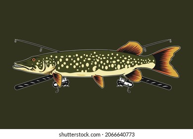 northern pike fish vector illustration