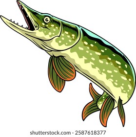 Northern Pike Fish Vector Isolated Cartoon Illustration in white background for sticker badge emblem t-shirt banner invitation