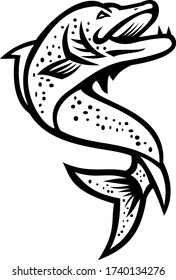 Northern Pike or muskie fish Jumping Up Black and White Retro
