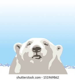 Northern polar bear