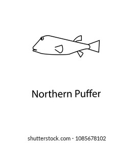 northern puffer icon. Element of marine life for mobile concept and web apps. Thin line northern puffer icon can be used for web and mobile. Premium icon on white background