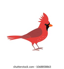 Northern red cardinal icon on white background. Vector illustration.