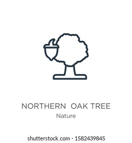 Northern red oak tree icon. Thin linear northern red oak tree outline icon isolated on white background from nature collection. Line vector sign, symbol for web and mobile