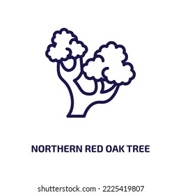 northern red oak tree icon from nature collection. Thin linear northern red oak tree, oak, tree outline icon isolated on white background. Line vector northern red oak tree sign, symbol for web and 