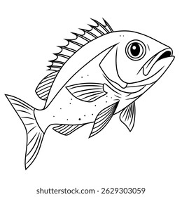 Peixe-lutador vermelho do norte gravura contorno preto e branco