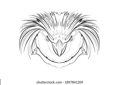 Northern rockhopper penguin (head). Line drawing. Black and white illustration. Vector.