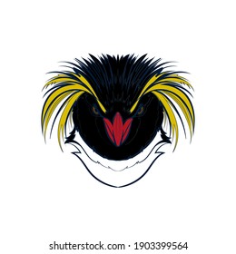 Northern rockhopper penguin (head). Vector illustration.