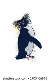 Northern rockhopper penguin on white background. Vector illustration.