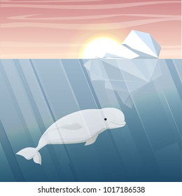 Northern underwater landscape. Iceberg and a large beluga whale or white whale. Beluga, melonhead, or sea canary Vector illustration, a scene from marine life. 
