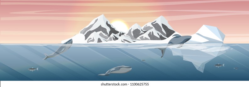 Northern underwater landscape. Three large blue whales. Family. Iceberg and snow-capped mountains on the horizon. Vector illustration, a scene from marine life.