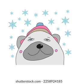 northern white bear in a hat on a white background with snowflakes, the concept of winter and holidays, Christmas illustration