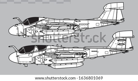 Northrop Grumman EA-6 Prowler. Vector drawing of modern military aircraft. Side view. Image for illustration.