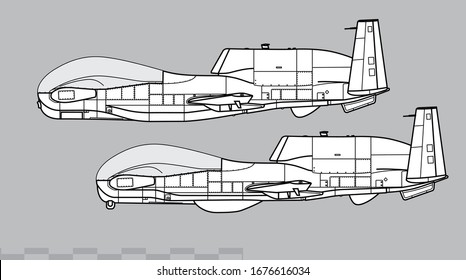 Northrop Grumman RQ-4B Global Hawk, MQ-4C Triton. Vector drawing of strategic reconnaissance drone. Side view. Image for illustration and infographics.