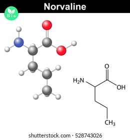Norvaline amino acid structure, non-proteinogenic unbranched-chain amino acid, 2d and 3d chemical vector illustration, eps 10