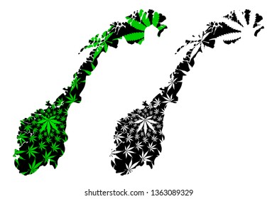 Norway - map is designed cannabis leaf green and black, Kingdom of Norway map made of marijuana (marihuana,THC) foliage,