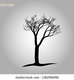 Norway maple architectonics. The structure of the tree branches and trunk. Vector drawing of the tree on a white background eps 10