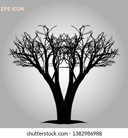 Norway maple architectonics. The structure of the tree branches and trunk. Vector drawing of the tree on a white background eps 10