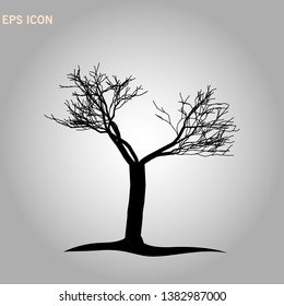 Norway maple architectonics. The structure of the tree branches and trunk. Vector drawing of the tree on a white background eps 10